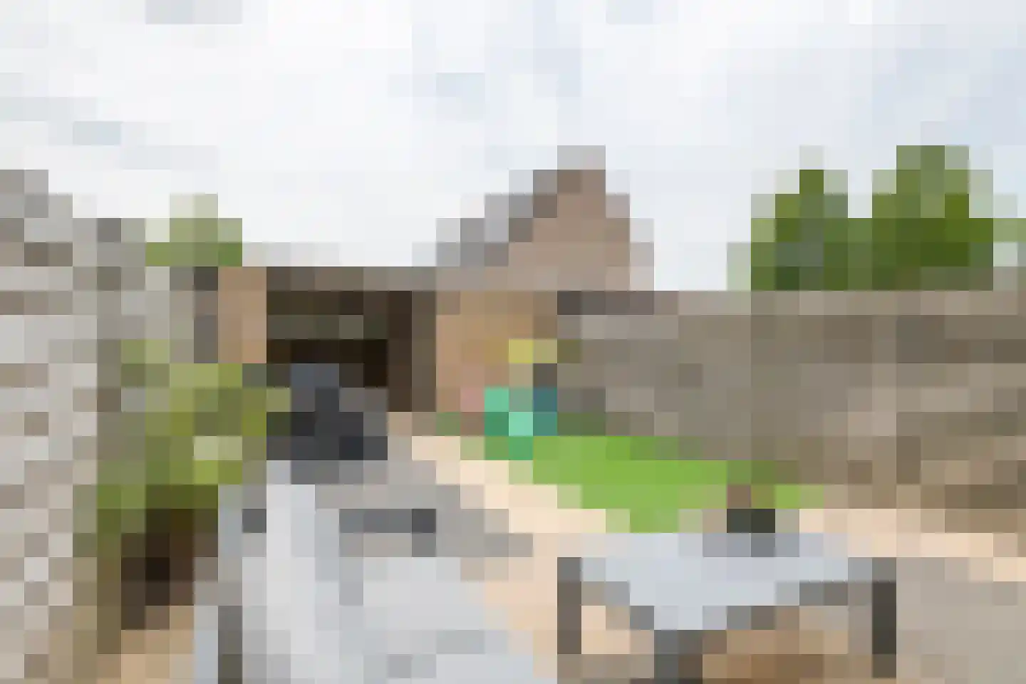 Burgemeester Kuijkstraat 17 Beusichem thumbnail 4
