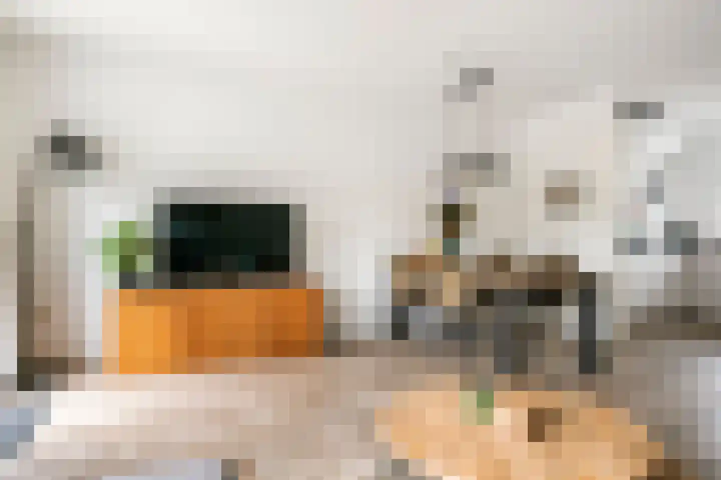 Burgemeester Kuijkstraat 17 Beusichem thumbnail 8