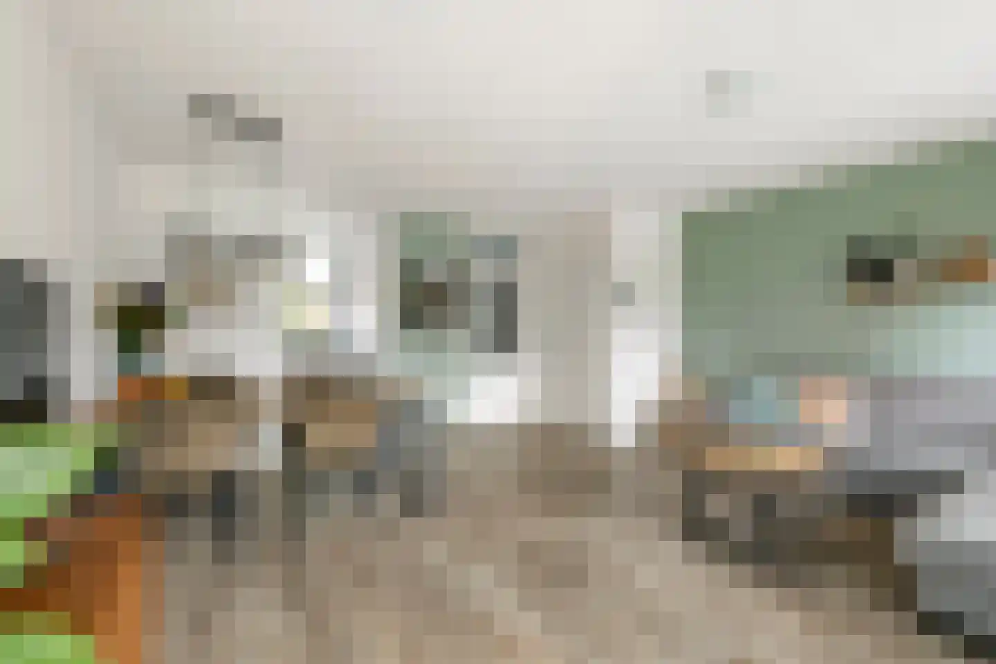 Burgemeester Kuijkstraat 17 Beusichem thumbnail 9