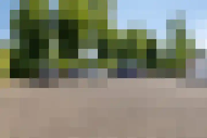 Burgemeester Lambertstr 25 Eijsden thumbnail 38