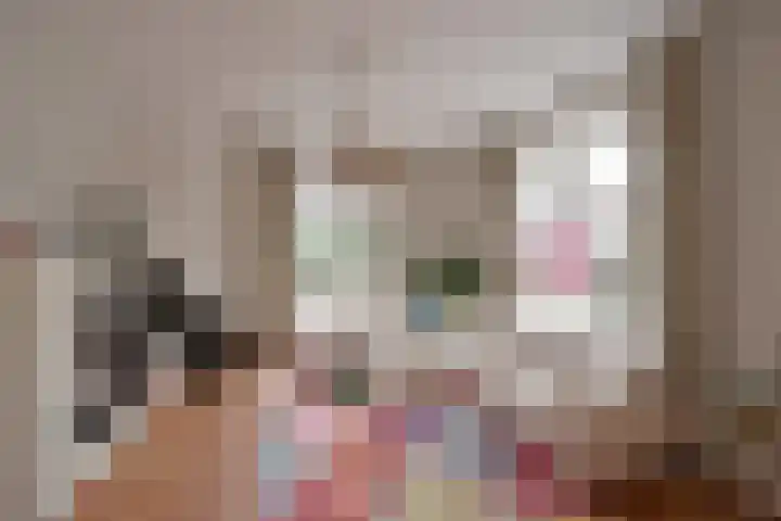 Burgemeester Lambooylaan 4 Hilversum thumbnail 10
