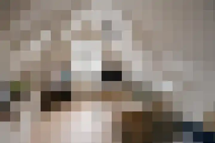 Burgemeester Lambooylaan 4 Hilversum thumbnail 24