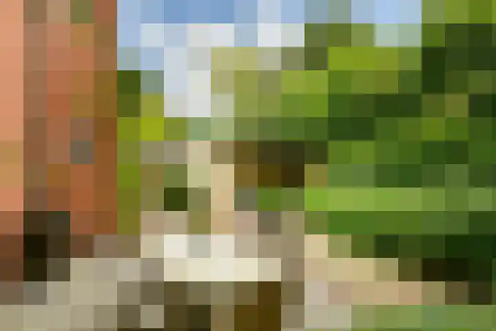 Burgemeester Lambooylaan 4 Hilversum thumbnail 27