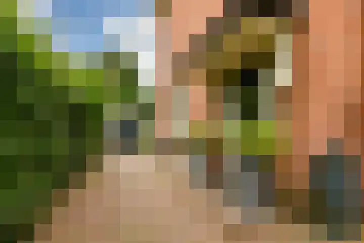 Burgemeester Lambooylaan 4 Hilversum thumbnail 34