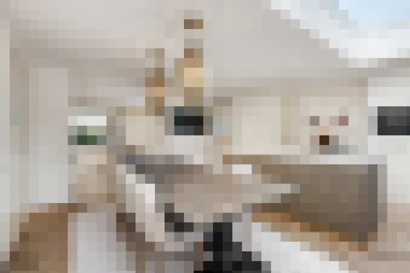 Burgemeester Le Fèvre de Montignylaan 105 Rotterdam thumbnail 17