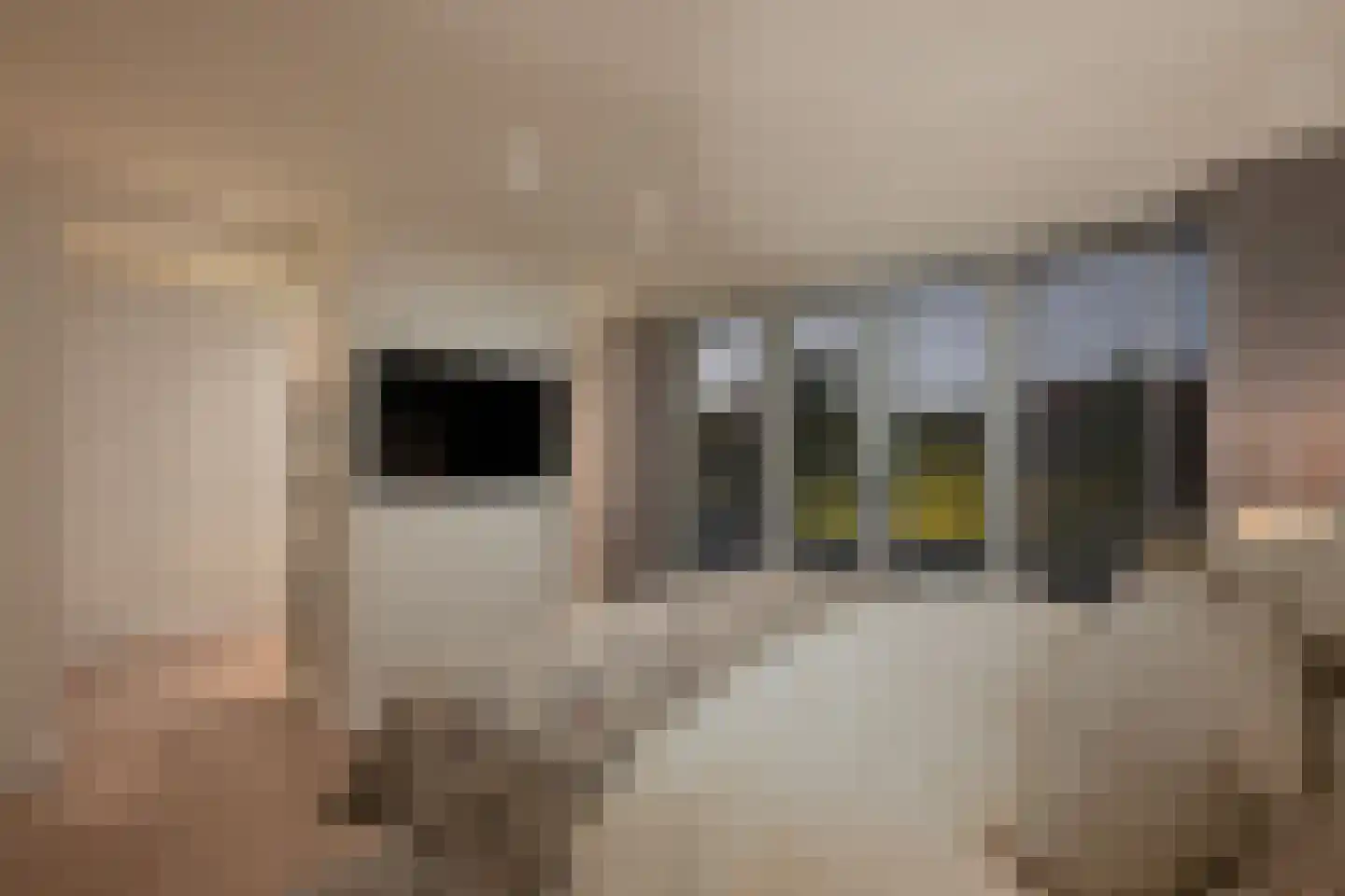Burgemeester Le Fèvre de Montignylaan 105 Rotterdam thumbnail 38