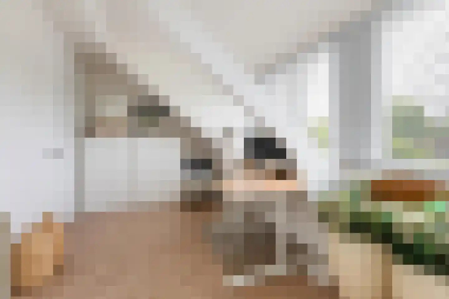 Burgemeester Le Fèvre de Montignylaan 105 Rotterdam thumbnail 50