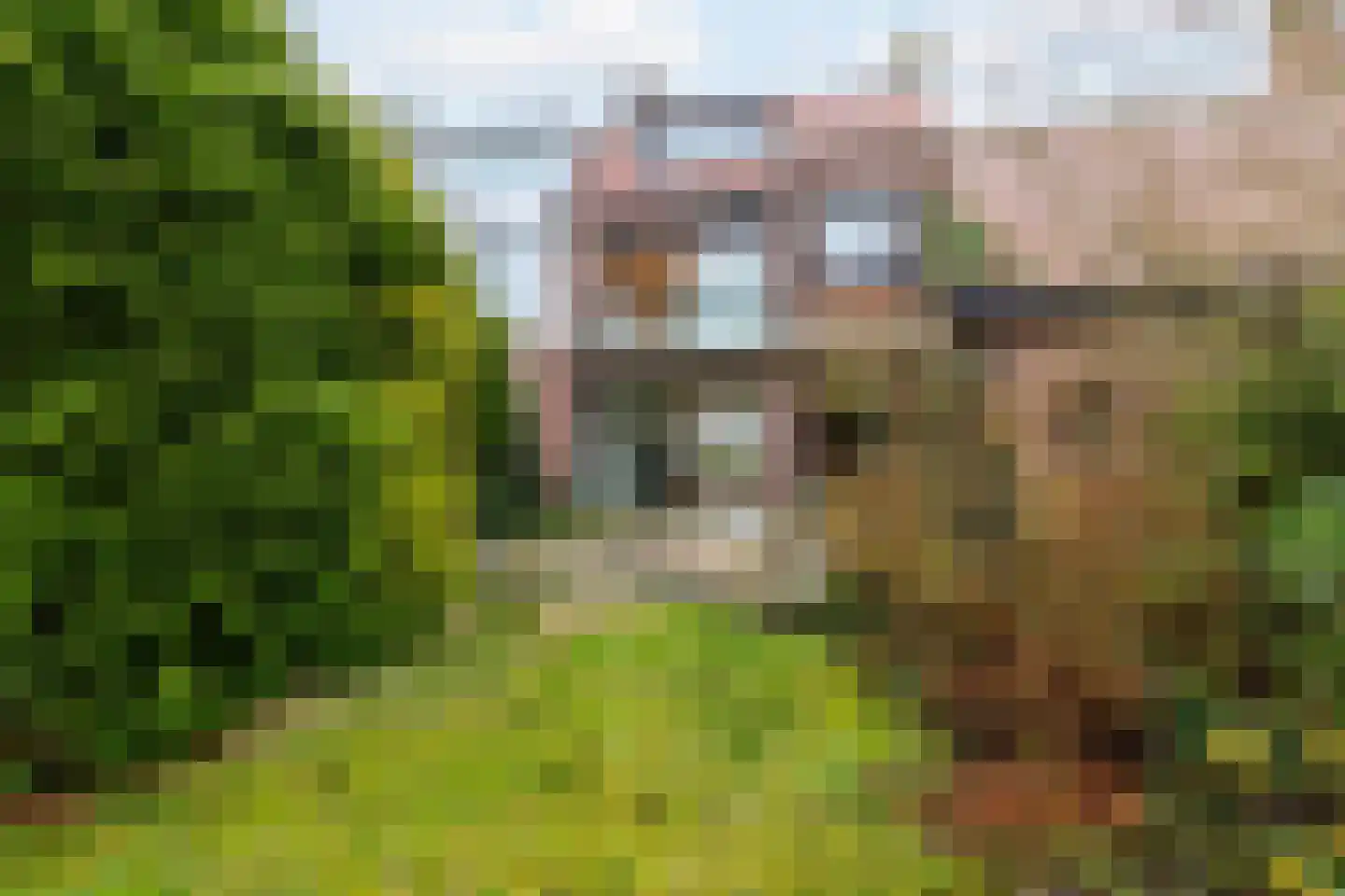 Burgemeester Le Fèvre de Montignylaan 120 Rotterdam thumbnail 5