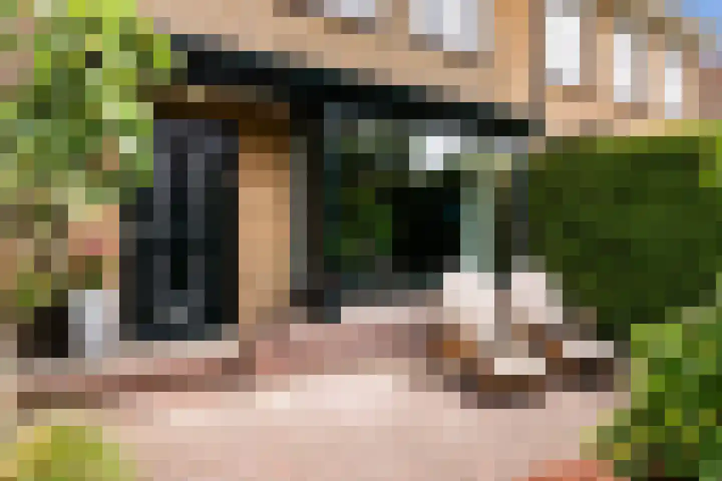 Burgemeester Le Fèvre de Montignylaan 129 Rotterdam thumbnail 5