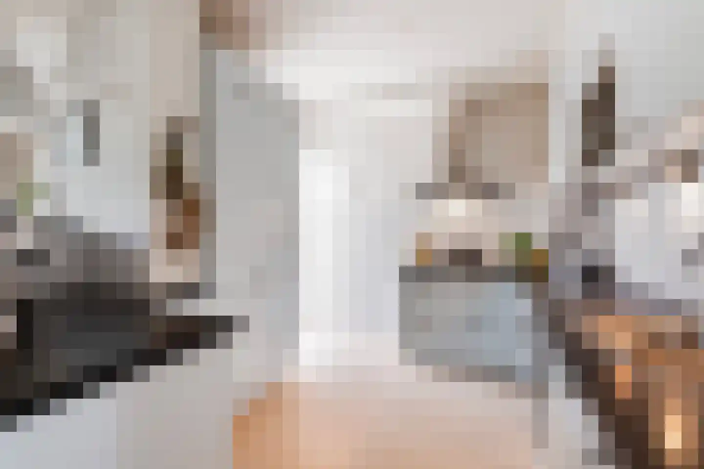 Burgemeester Le Fèvre de Montignylaan 147 Rotterdam thumbnail 11