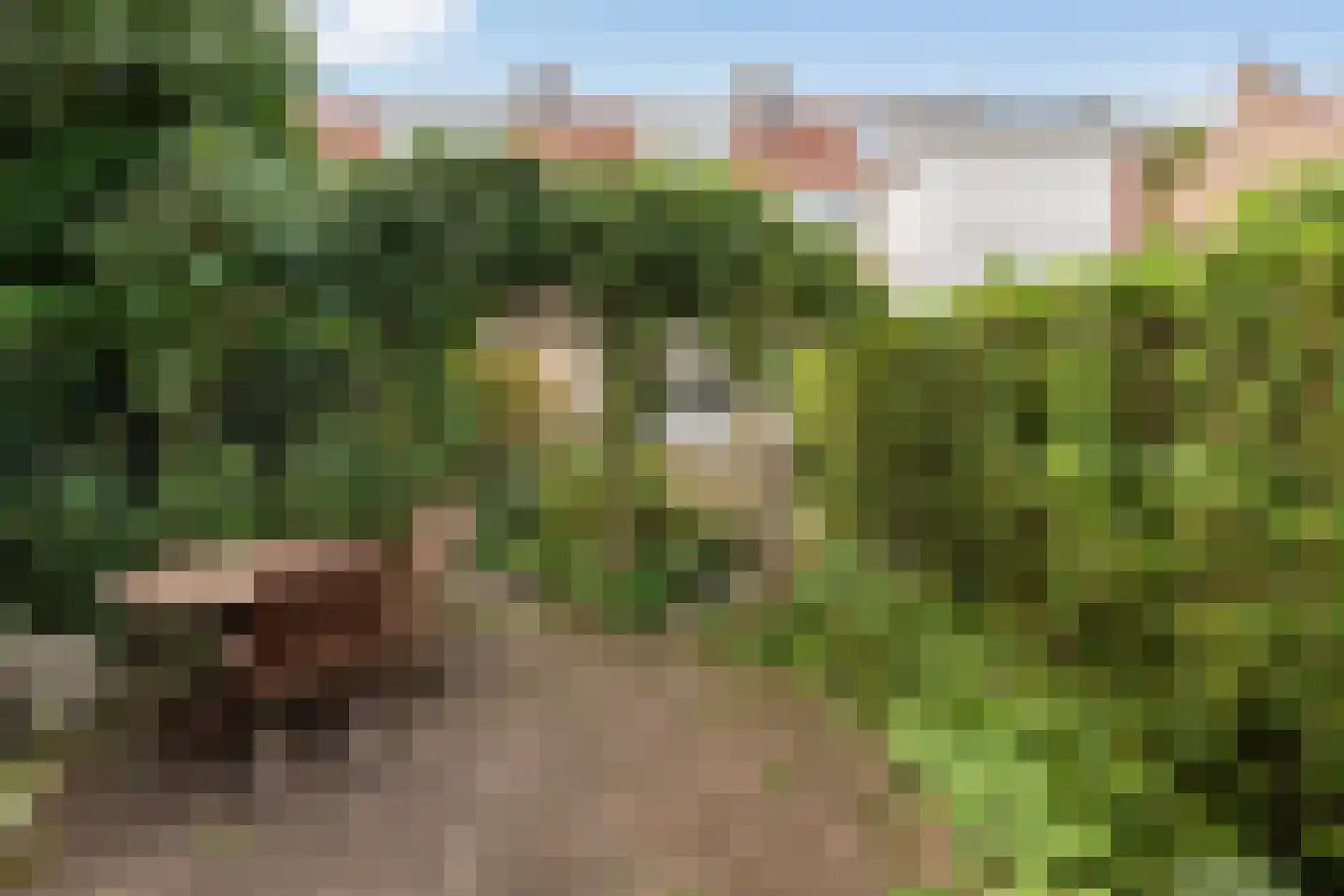 Burgemeester Le Fèvre de Montignylaan 147 Rotterdam thumbnail 28