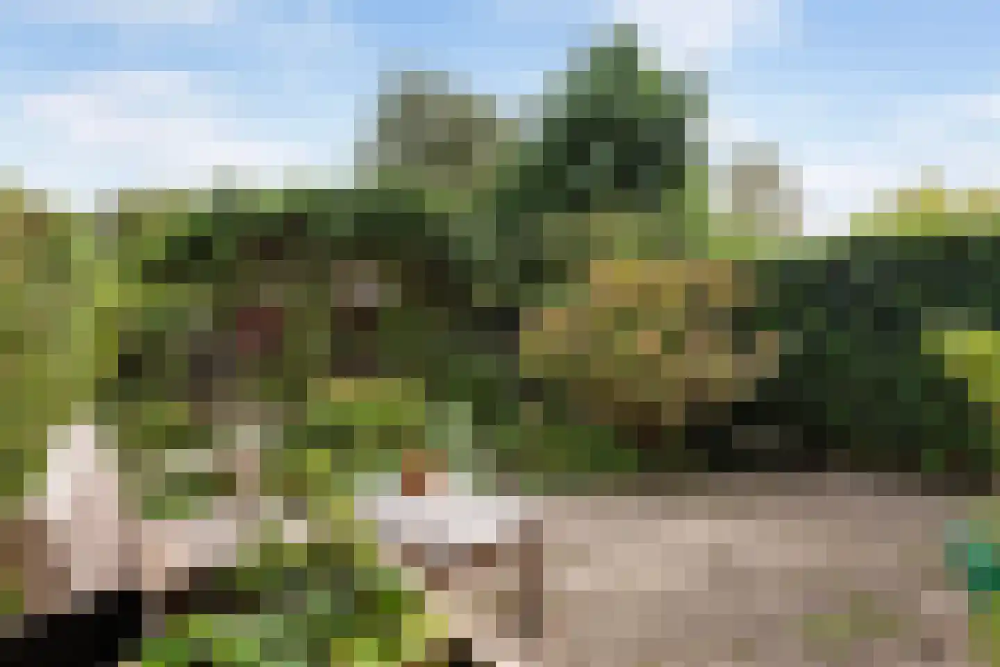 Burgemeester Le Fèvre de Montignylaan 147 Rotterdam thumbnail 30