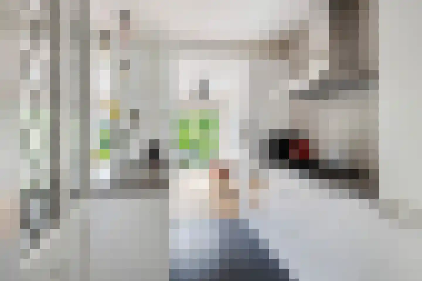 Burgemeester Le Fèvre de Montignylaan 210 Rotterdam thumbnail 15