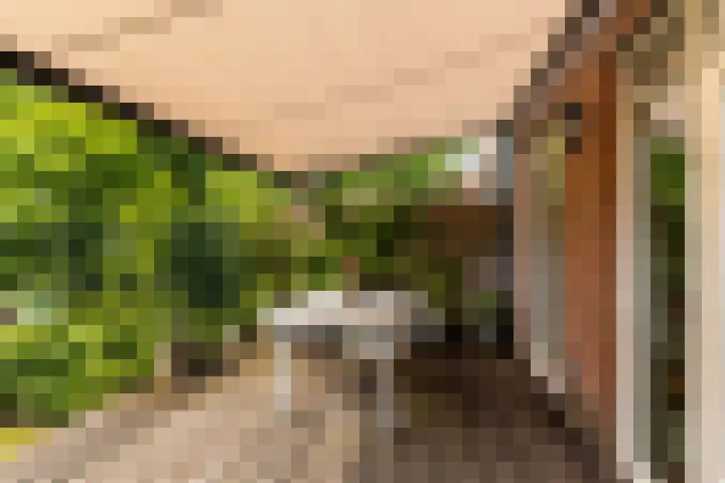 Burgemeester Le Fèvre de Montignylaan 210 Rotterdam thumbnail 28