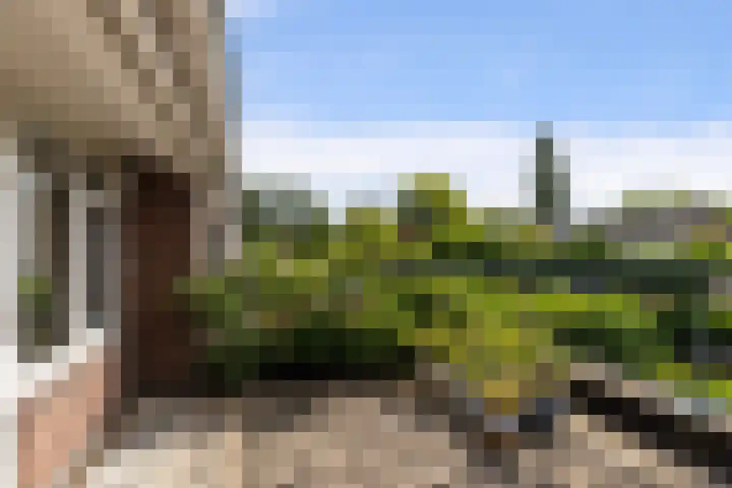 Burgemeester Le Fèvre de Montignylaan 210 Rotterdam thumbnail 50