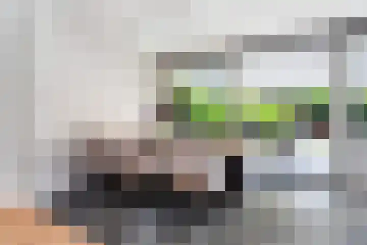 Burgemeester Le Fèvre de Montignylaan 220 Rotterdam thumbnail 10