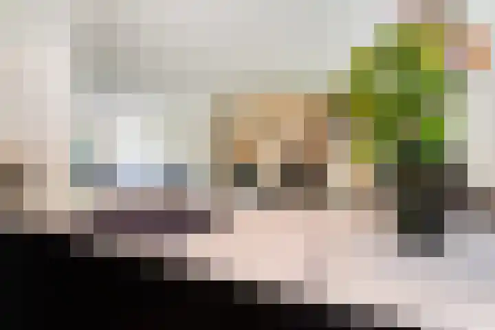 Burgemeester Le Fèvre de Montignylaan 220 Rotterdam thumbnail 12