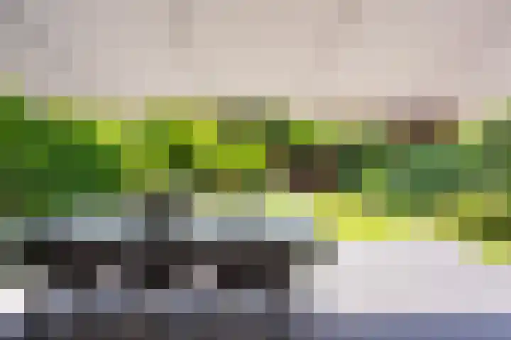 Burgemeester Le Fèvre de Montignylaan 220 Rotterdam thumbnail 17