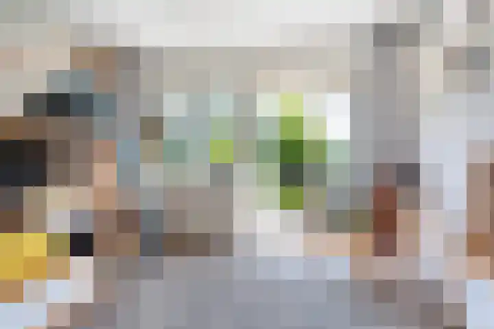 Burgemeester Le Fèvre de Montignylaan 220 Rotterdam thumbnail 20