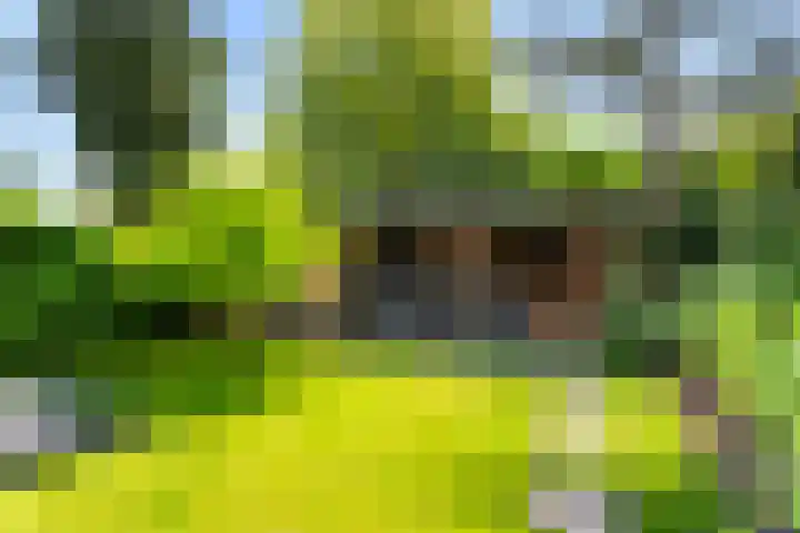 Burgemeester Le Fèvre de Montignylaan 220 Rotterdam thumbnail 31