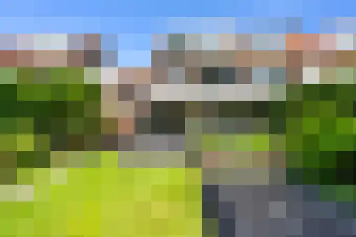 Burgemeester Le Fèvre de Montignylaan 220 Rotterdam thumbnail 33