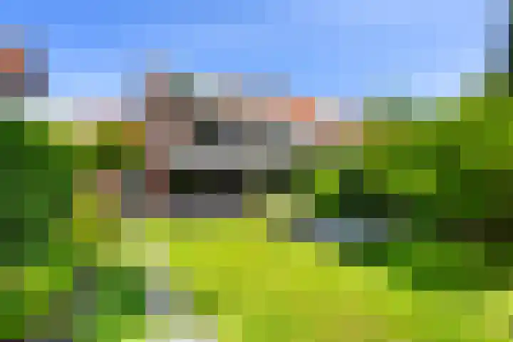 Burgemeester Le Fèvre de Montignylaan 220 Rotterdam thumbnail 34