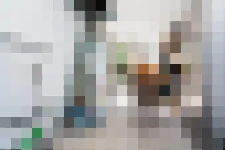 Burgemeester Le Fèvre de Montignylaan 220 Rotterdam thumbnail 37