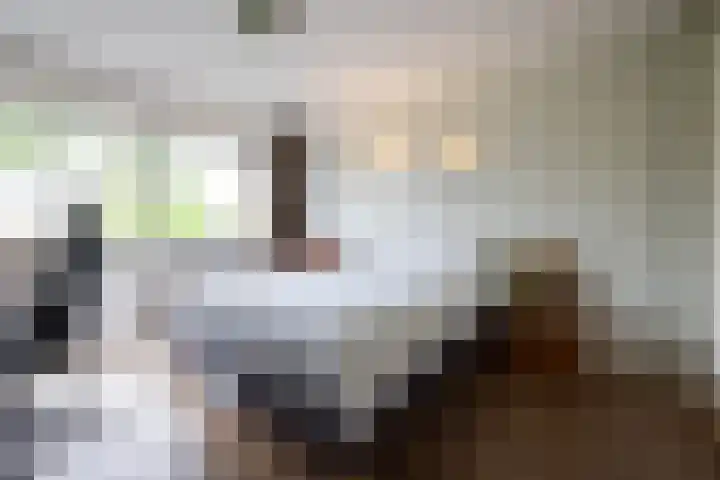 Burgemeester Le Fèvre de Montignylaan 244 Rotterdam thumbnail 13