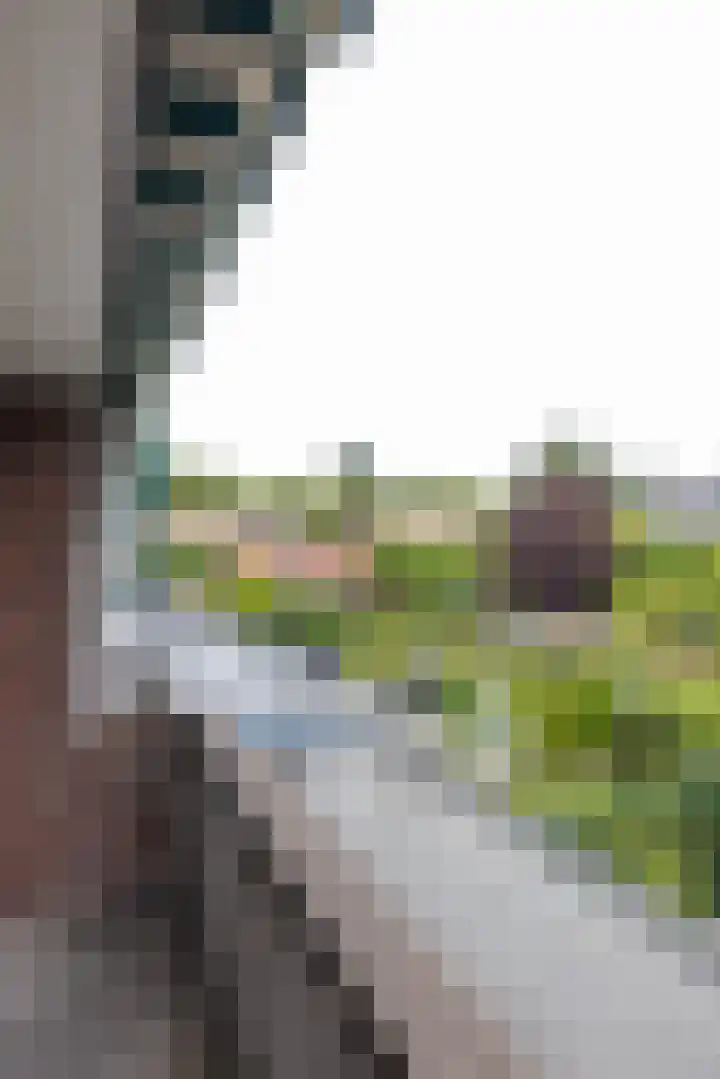 Burgemeester Le Fèvre de Montignylaan 244 Rotterdam thumbnail 16