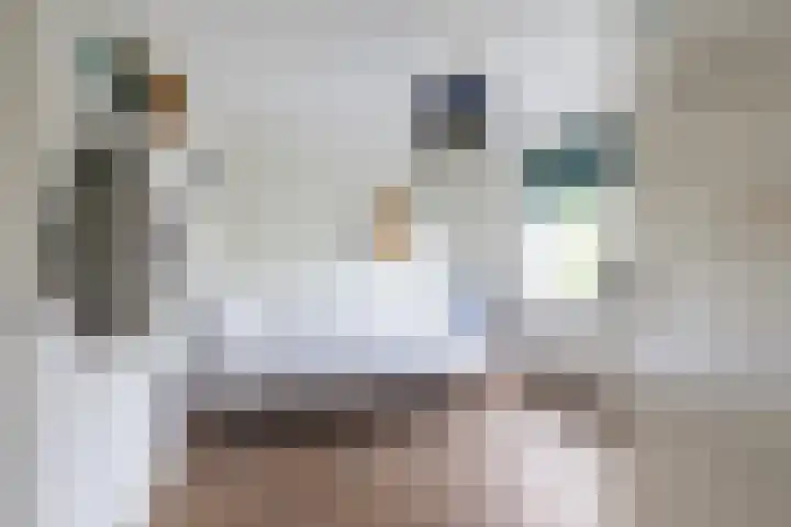 Burgemeester Le Fèvre de Montignylaan 244 Rotterdam thumbnail 20