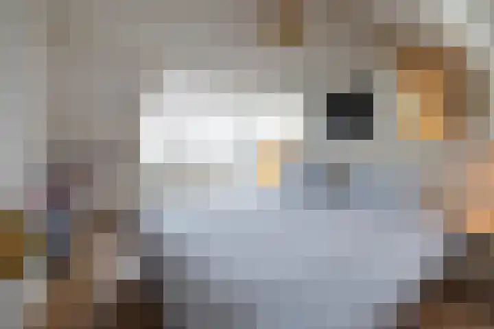 Burgemeester Le Fèvre de Montignylaan 244 Rotterdam thumbnail 26