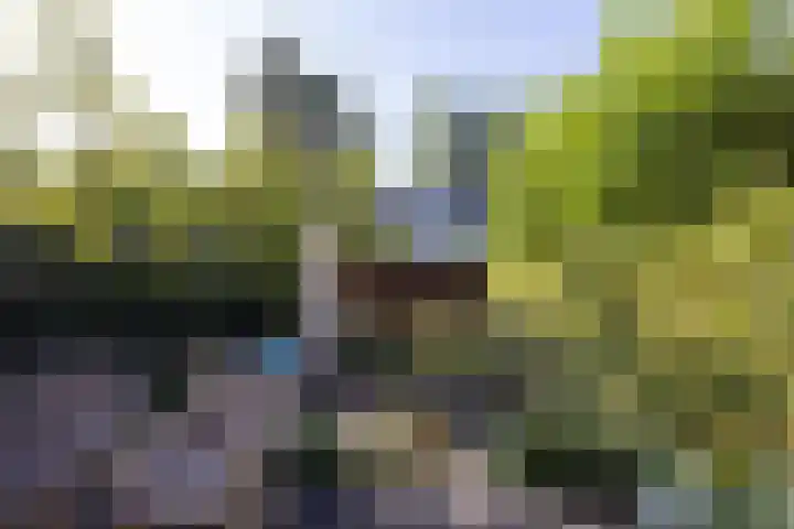 Burgemeester Le Fèvre de Montignylaan 244 Rotterdam thumbnail 34