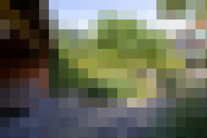 Burgemeester Le Fèvre de Montignylaan 244 Rotterdam thumbnail 38
