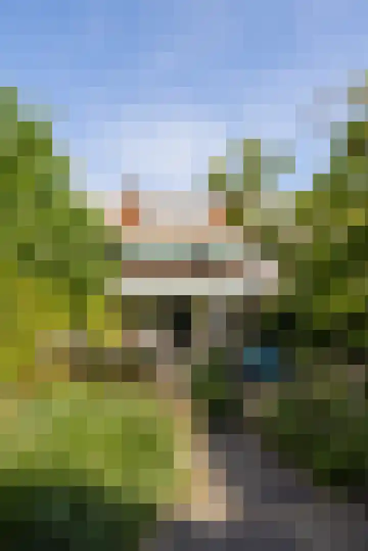 Burgemeester Le Fèvre de Montignylaan 244 Rotterdam thumbnail 39