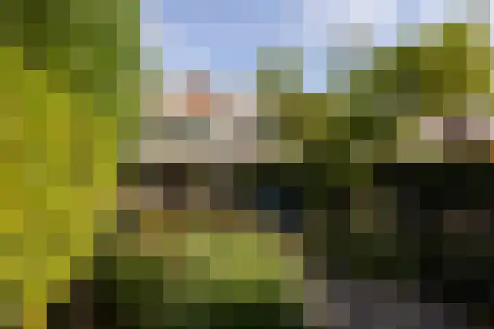 Burgemeester Le Fèvre de Montignylaan 244 Rotterdam thumbnail 40