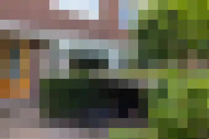 Burgemeester Le Fèvre de Montignylaan 244 Rotterdam thumbnail 43