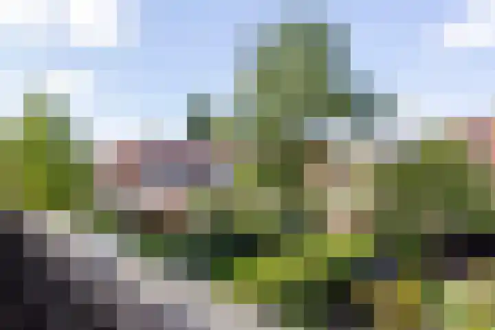 Burgemeester Le Fèvre de Montignylaan 57 Rotterdam thumbnail 18