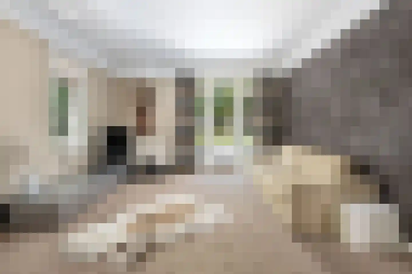 Burgemeester Le Fèvre de Montignylaan 61 Rotterdam thumbnail 38