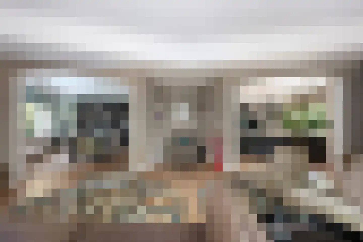 Burgemeester Le Fèvre de Montignylaan 61 Rotterdam thumbnail 8
