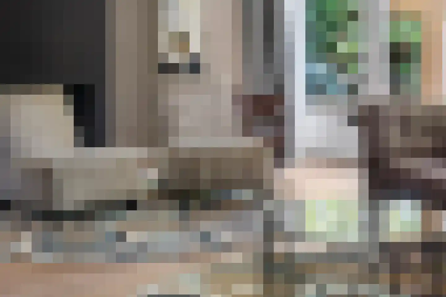 Burgemeester Le Fèvre de Montignylaan 61 Rotterdam thumbnail 9