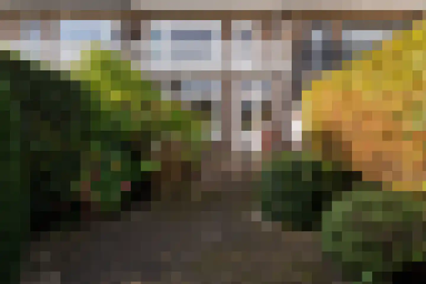 Burgemeester Le Fèvre de Montignylaan 89 Rotterdam thumbnail 16