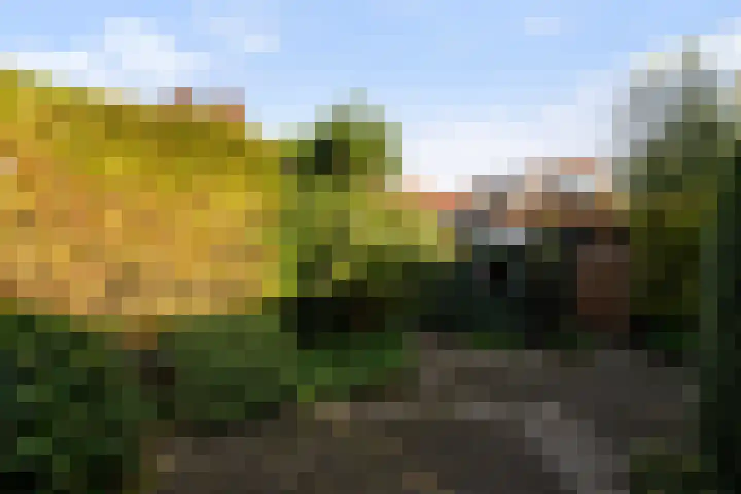 Burgemeester Le Fèvre de Montignylaan 89 Rotterdam thumbnail 4
