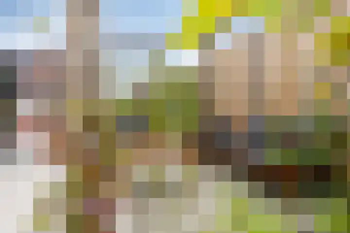 Burgemeester Lemmensstraat 14 Blokker thumbnail 41