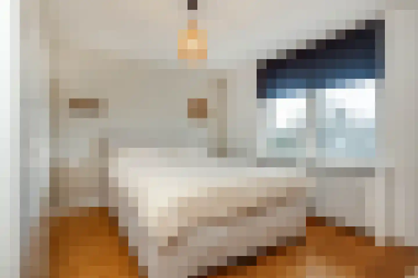 Burgemeester Lemmensstraat 19 Beek thumbnail 24