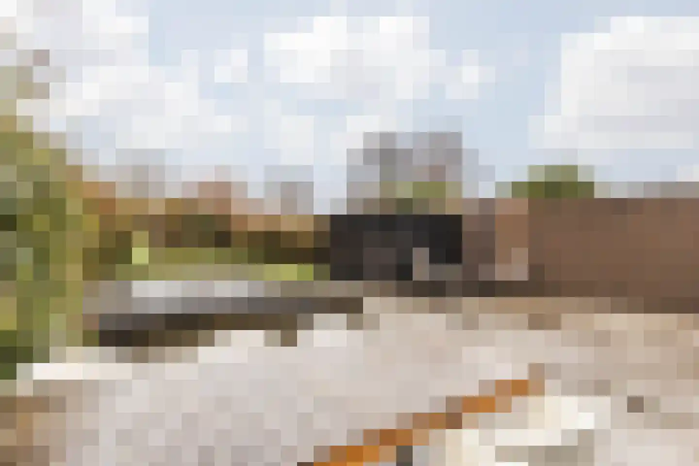 Burgemeester Lemmensstraat 19 Beek thumbnail 4