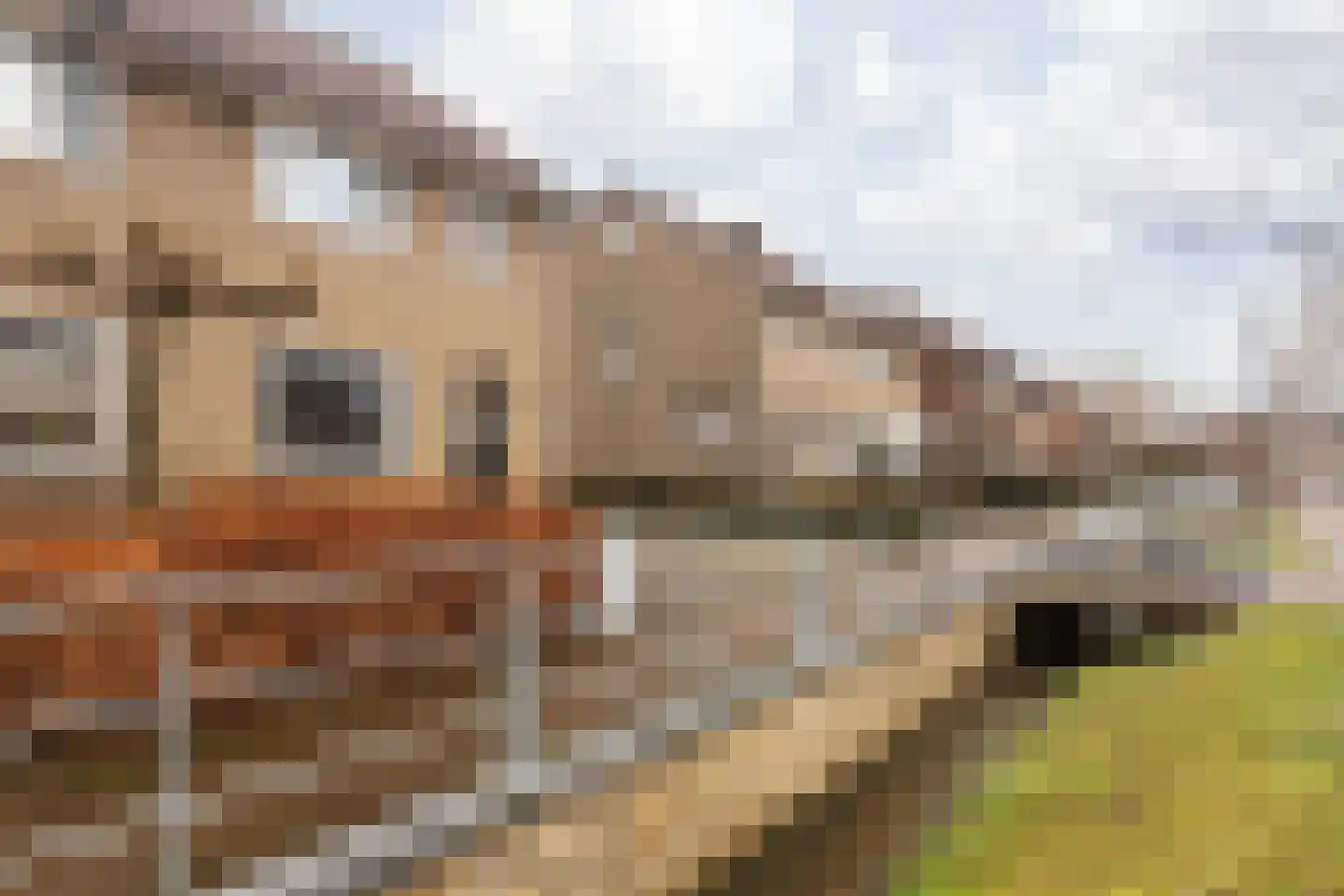 Burgemeester Lemmensstraat 19 Beek thumbnail 7
