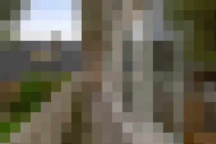Burgemeester Lepelaarssingel 11 Krimpen aan den IJssel thumbnail 31