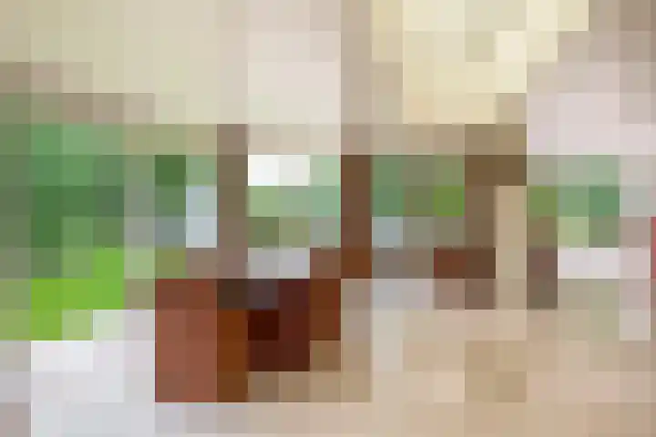 Burgemeester Lepelaarssingel 11 Krimpen aan den IJssel thumbnail 4