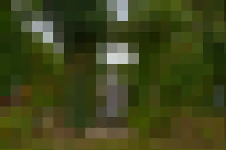 Burgemeester Lepelaarssingel 11 Krimpen aan den IJssel thumbnail 59