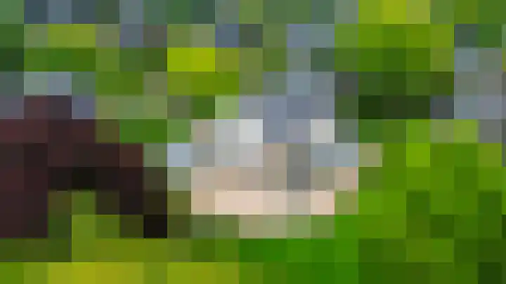 Burgemeester Lepelaarssingel 11 Krimpen aan den IJssel thumbnail 62
